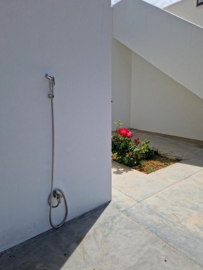 Ses Vinas De Cas Baixero Villa La Mola Екстериор снимка